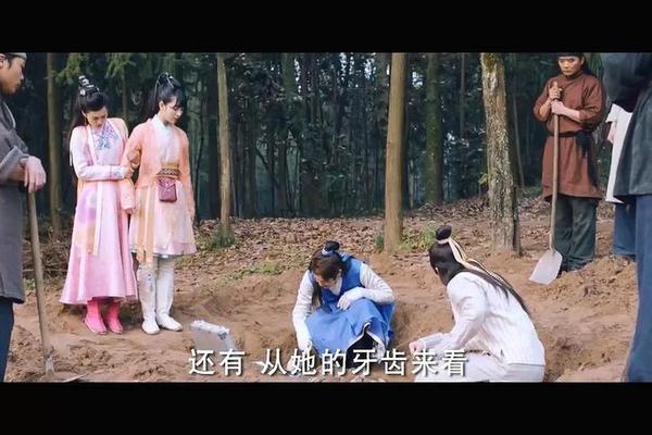 纳妾记2