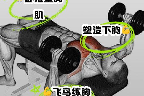胸部解放运动