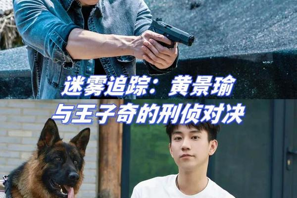 迷雾追踪在线观看免费完整版