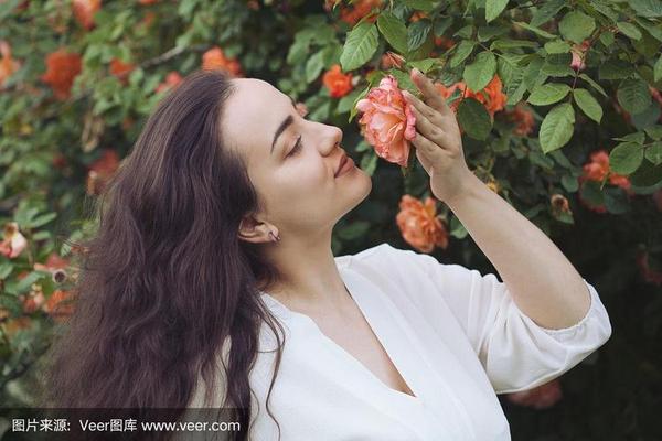 女人的香味