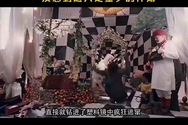魔法奇幻秀qvod