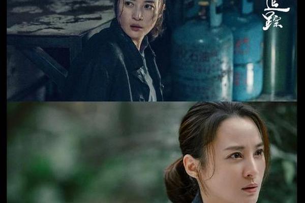 迷雾追踪电视剧免费观看