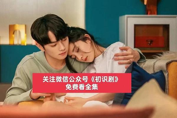 爱的二八定律电视剧免费观看全集