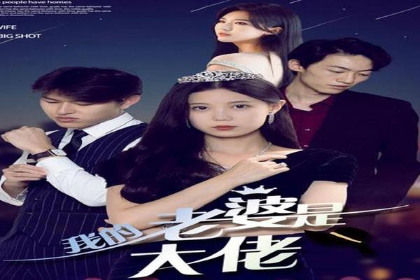 我老婆是大佬2