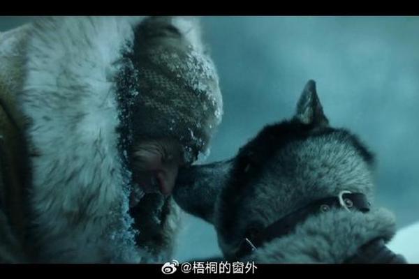 多哥电影在线观看