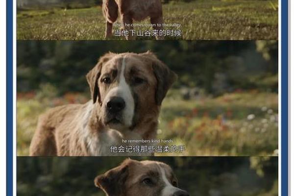 野性的呼唤电影