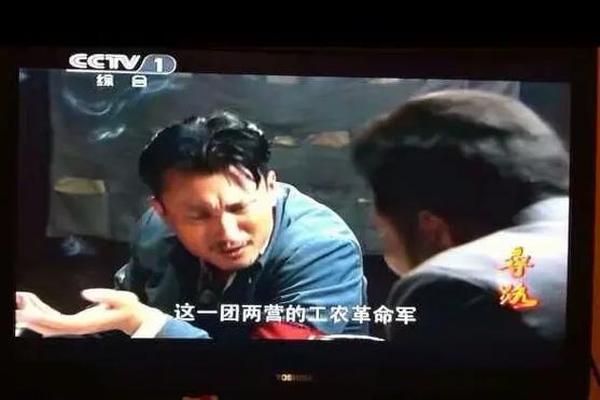 寻路电视剧全集优酷