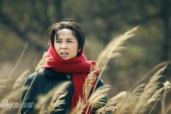 娘要嫁人电视剧