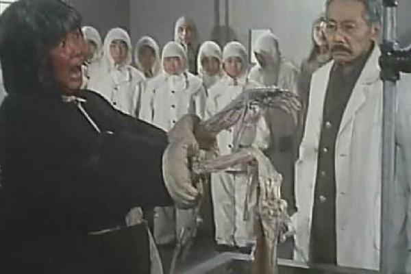 731黑太阳