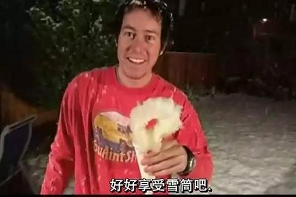 蠢货电影