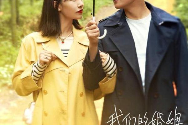电视剧我们的婚姻