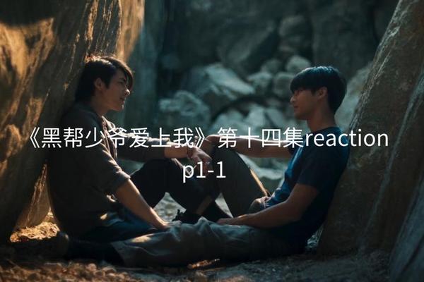 黑帮少爷爱上我第14集免费观看