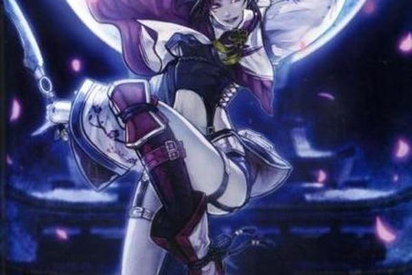 妖艳女忍者传