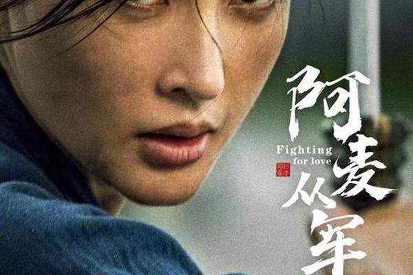 阿麦从军电视剧在线观看