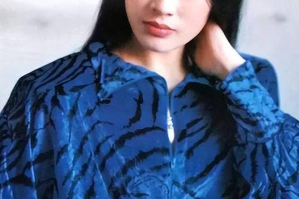 好男人2019在线视频观看高清