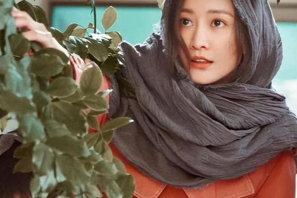 小满生活电视剧免费观看高清