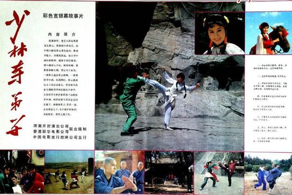 电影少林寺弟子