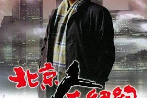 北京人在纽约视频