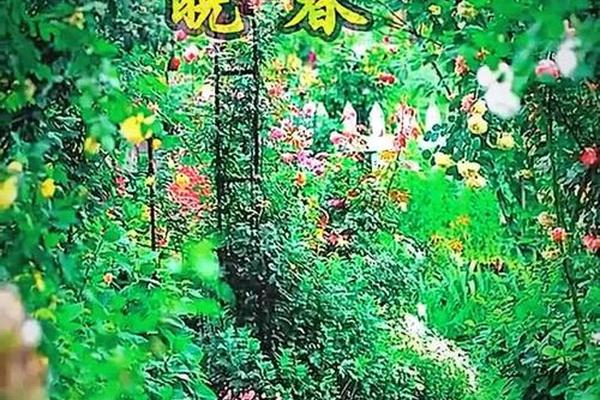 晚春