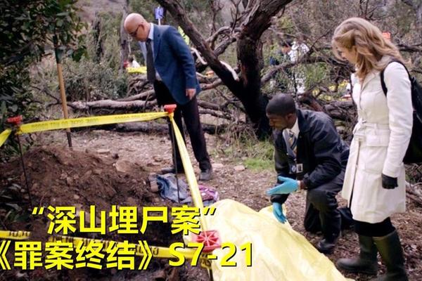 罪案终结第七季