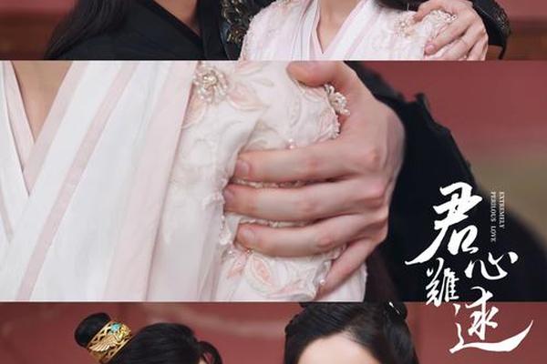 君心难求电视剧在线观看