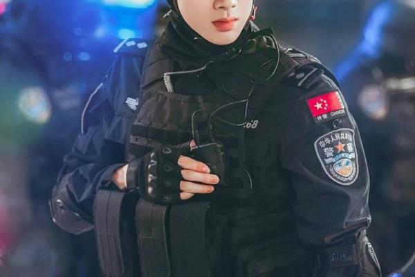你是我的城池营垒电视剧
