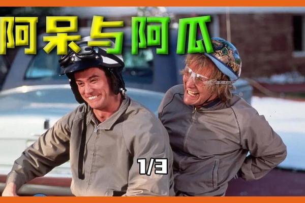 阿呆与阿瓜国语