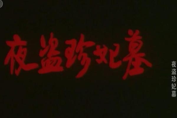夜盗珍妃墓电影