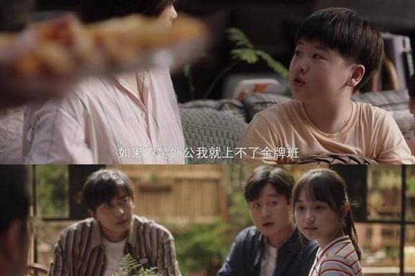小舍得电视剧免费观看完整版