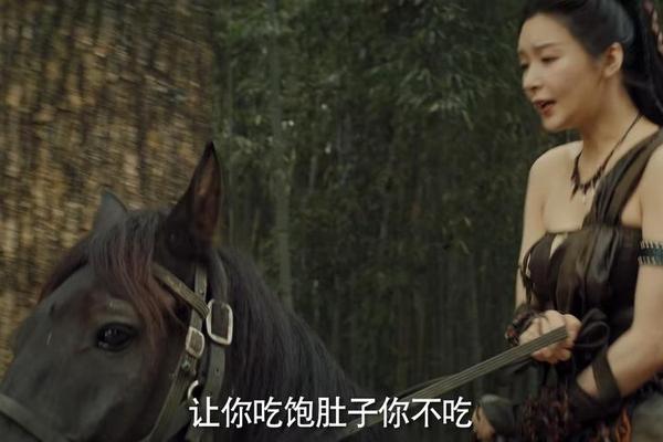 霍家拳之铁臂娇娃