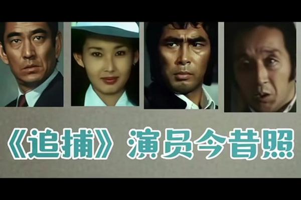 大追捕电视剧全集播放