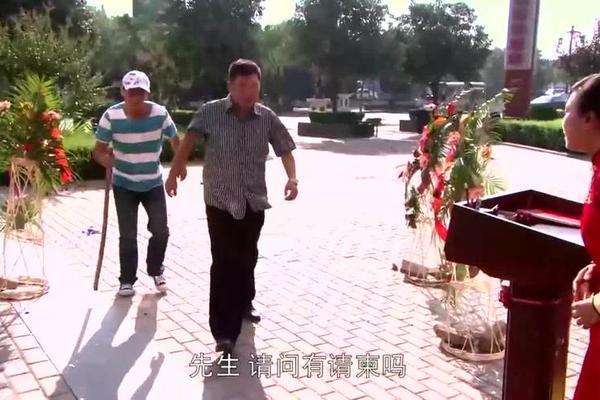 赖汉的幸福指数全集在线观看