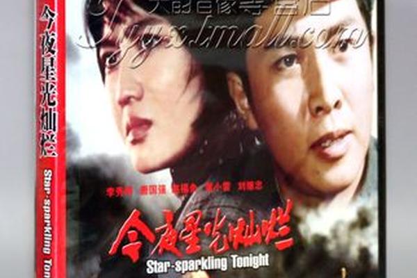 今夜星光灿烂