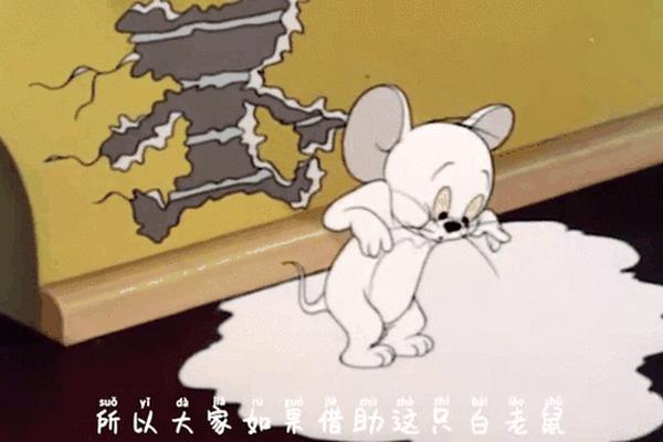 猫和老鼠内蒙方言版