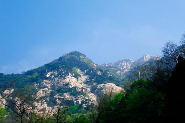 森林泰山