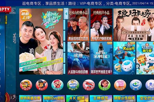北京卫视在线观看