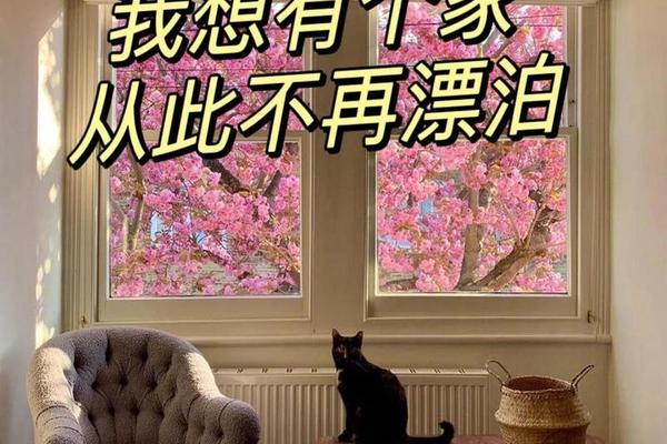 我要一个家